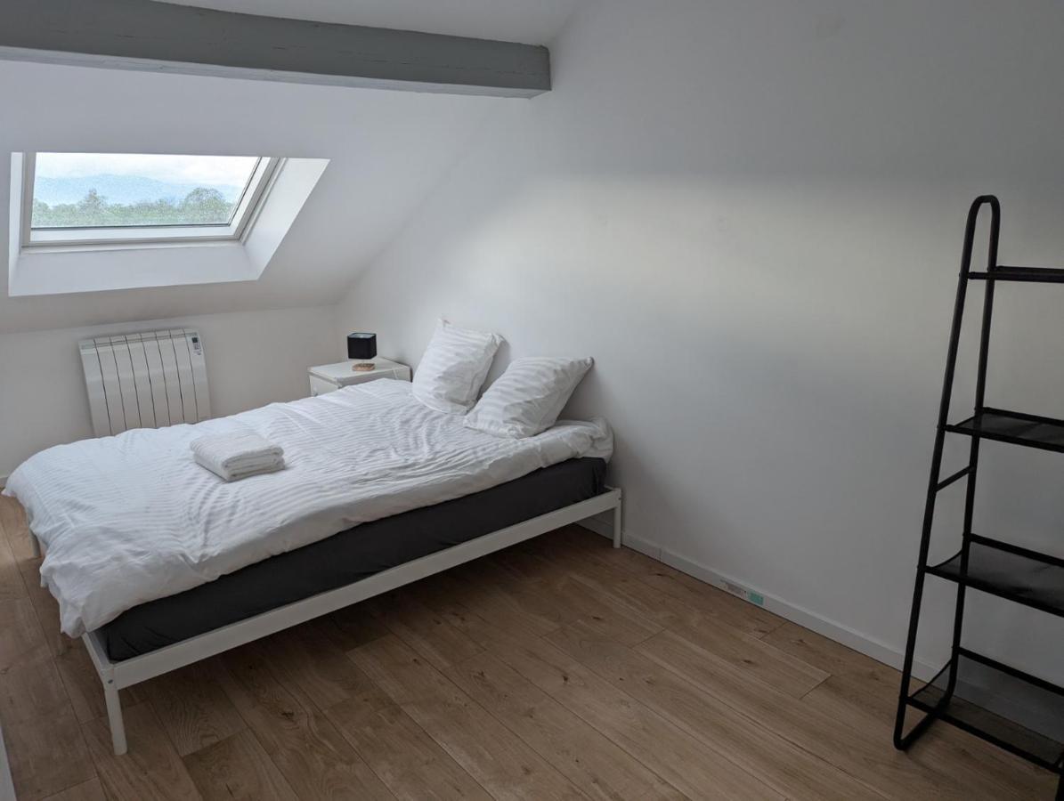 Le Vauban - Appartement 2 Chambres, Salon, Cuisine Equipee, Parking Et Wifi Gratuit Mulhouse Kültér fotó